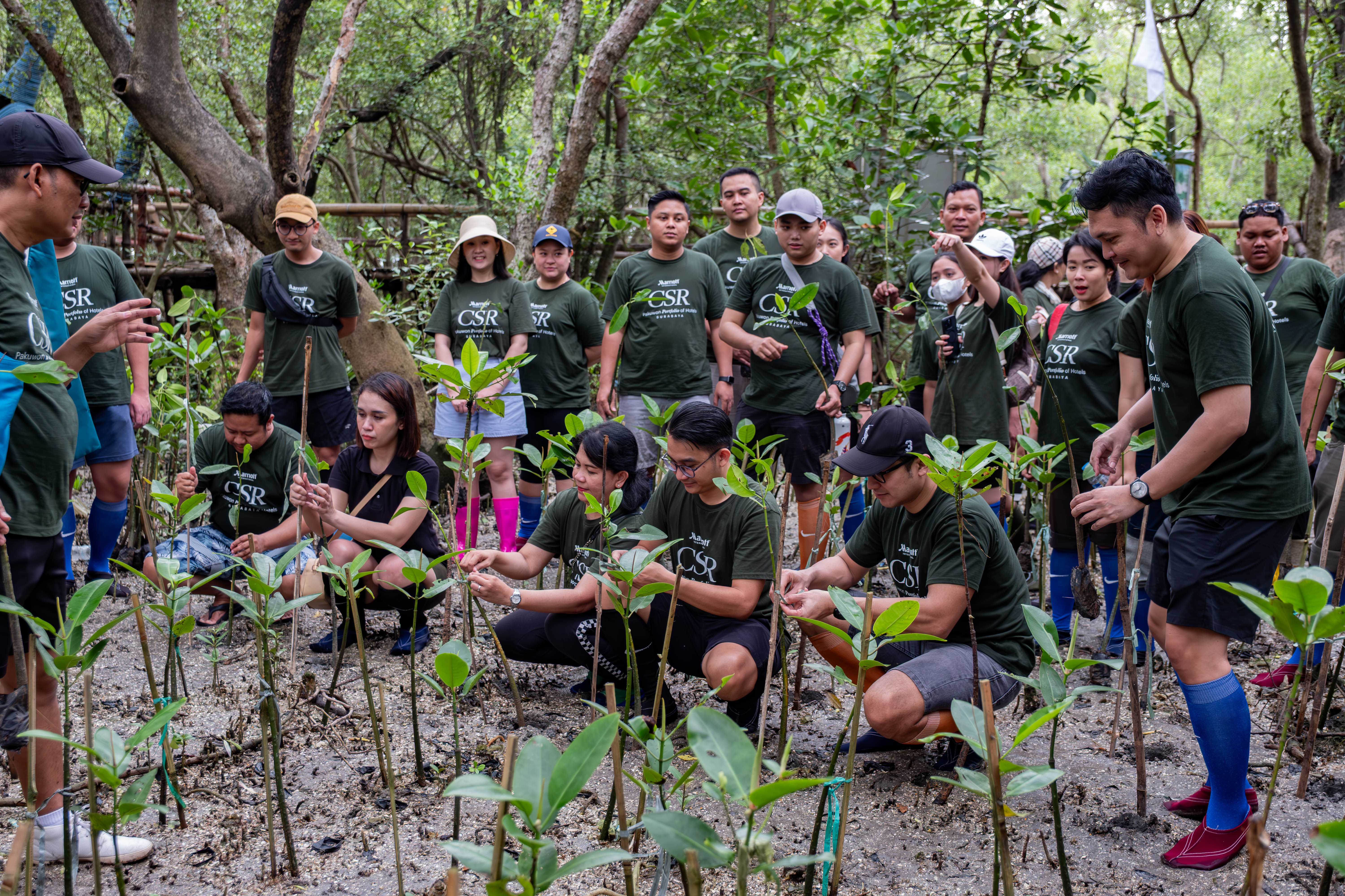 \App\Helpers\getUpload($galleryId)->alt